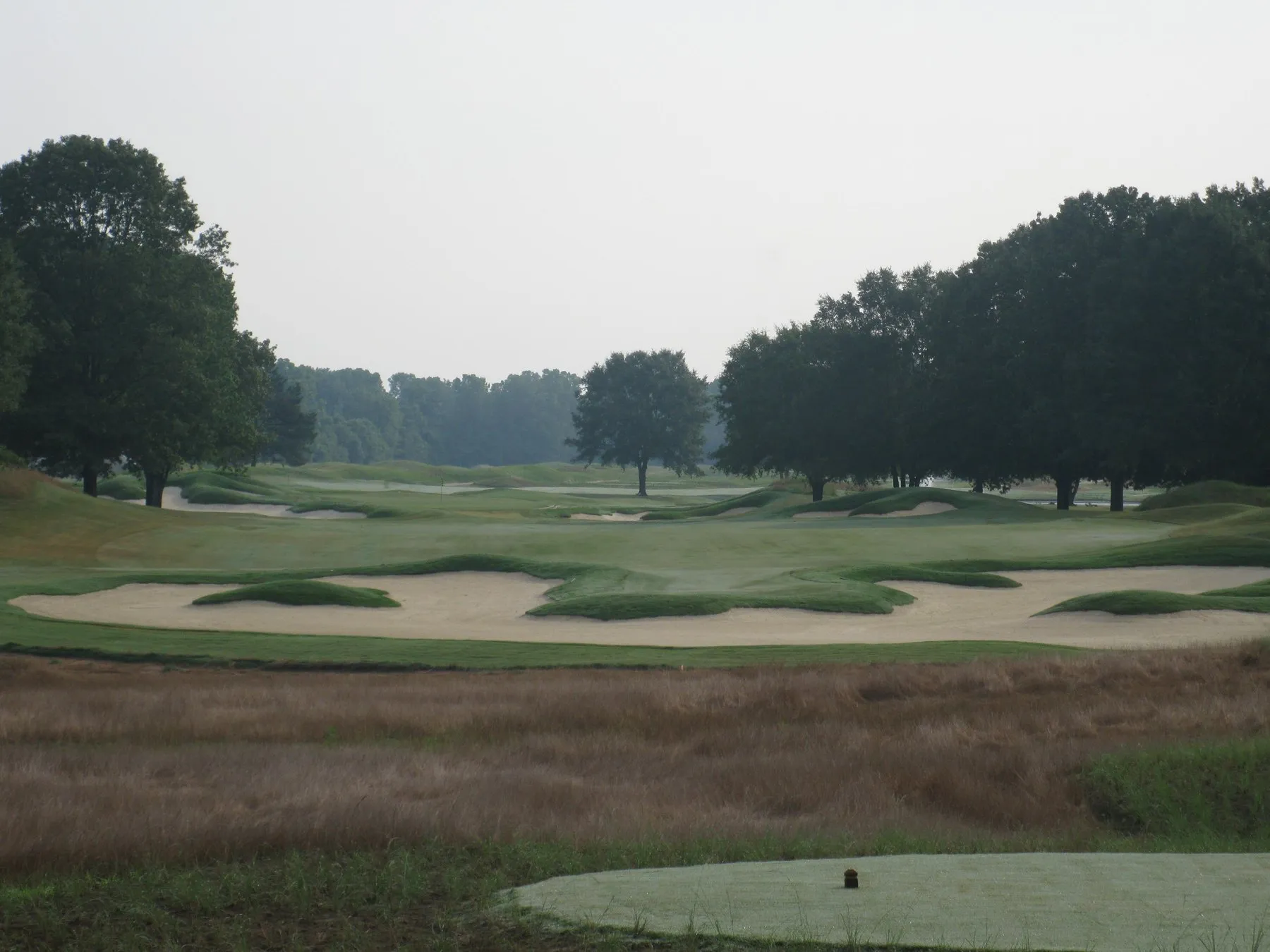 A fairway seen across a band of native grasses, with a broad complex of sand bunkers and mown mounding beyond.