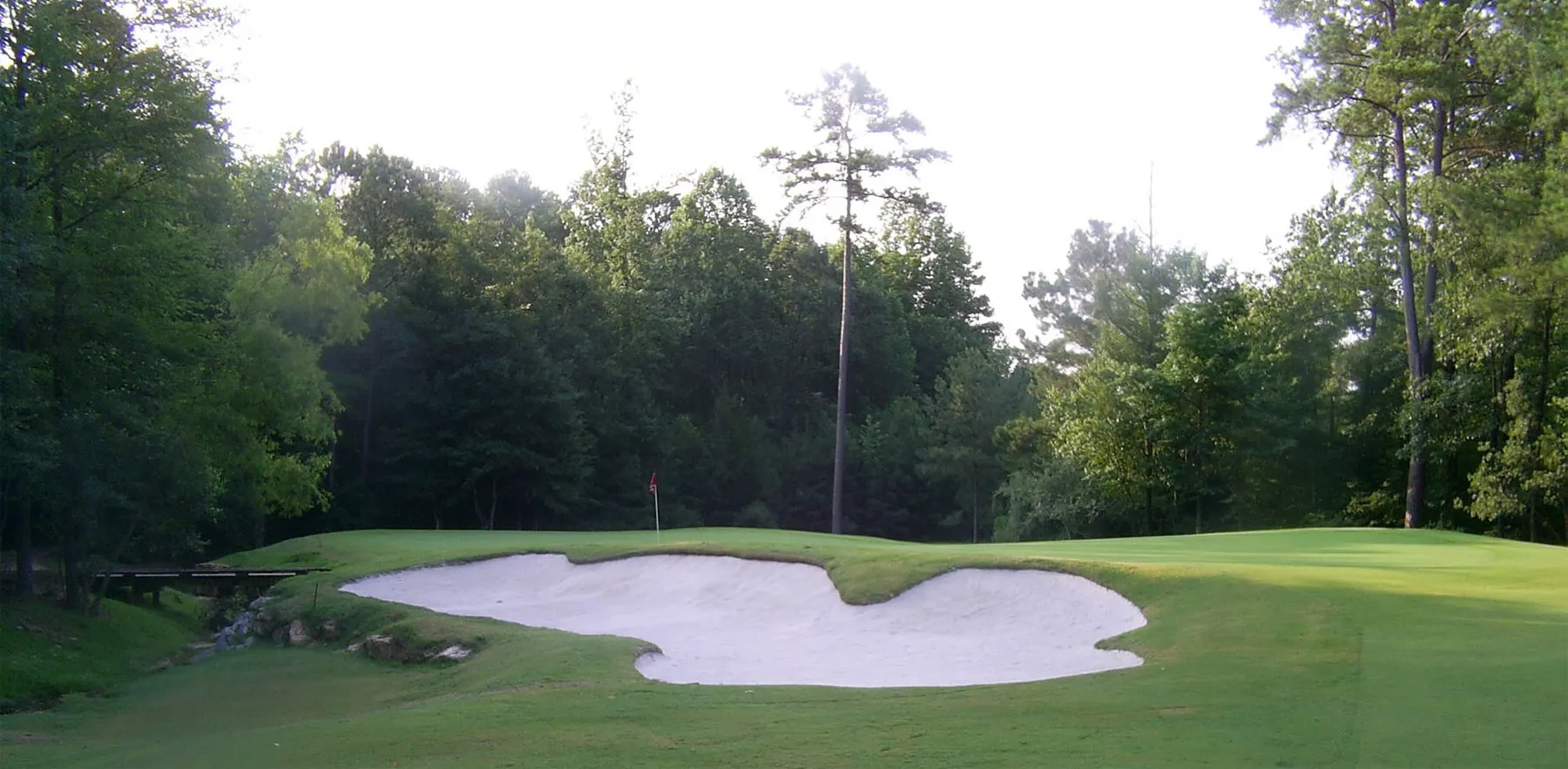 A putting green with a large white sand bunker, ringed by tall pines.