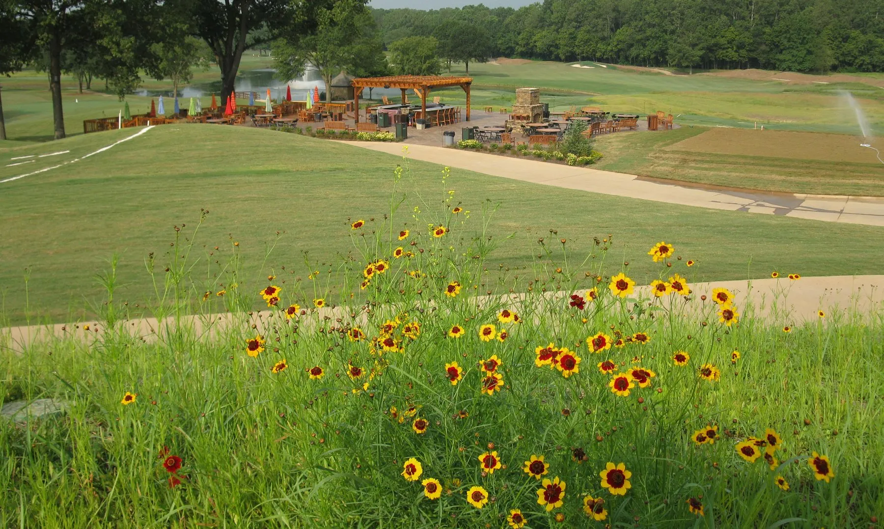 Wildflowers in tall grass beside a cart path, with an open-air pavilion and the course beyond.